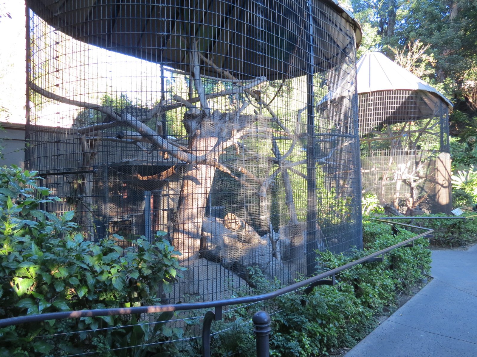Asian Passage - Four Monkey Exhibits