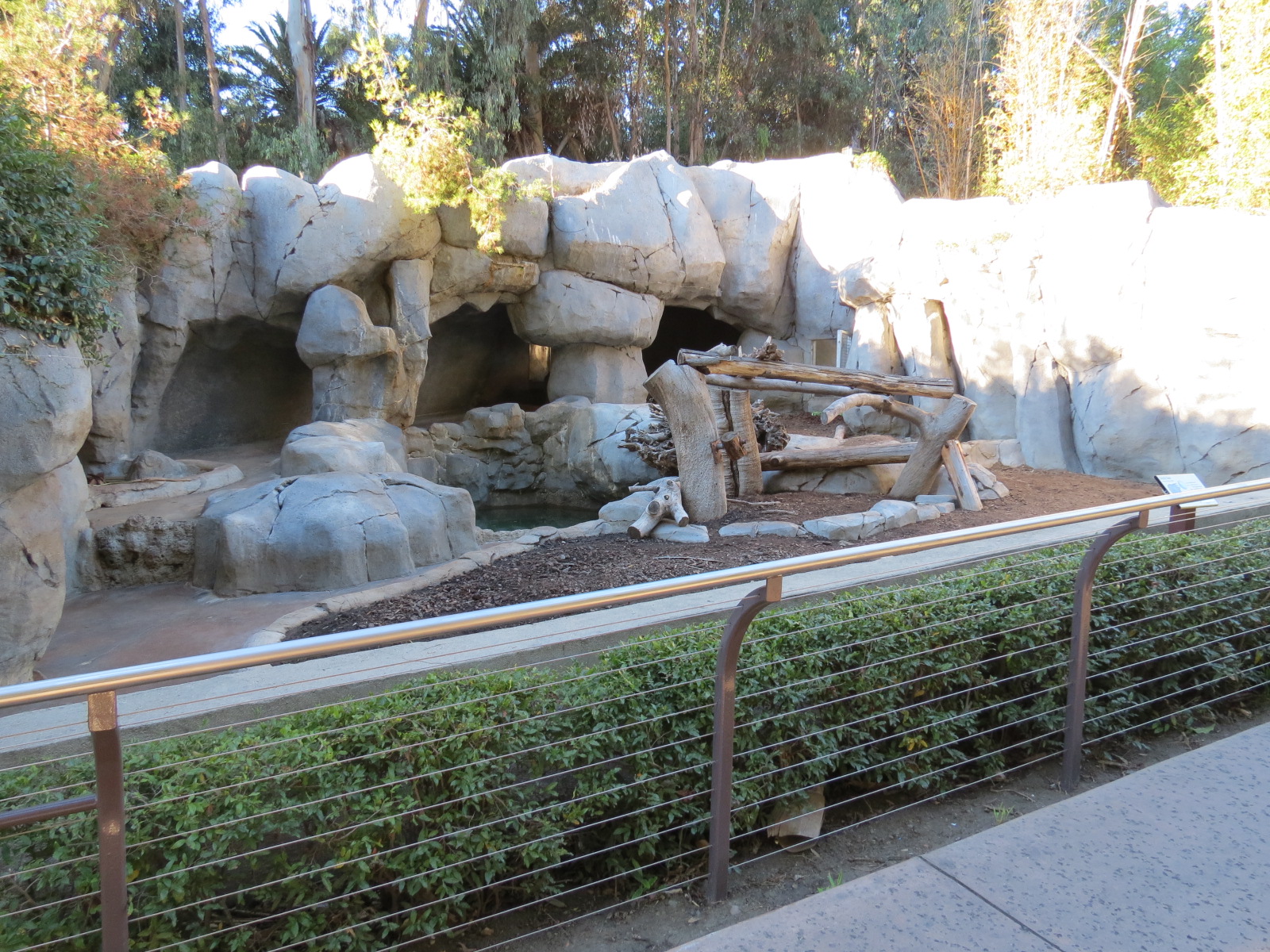 Asian Passage - Grizzly Bear Exhibit 1