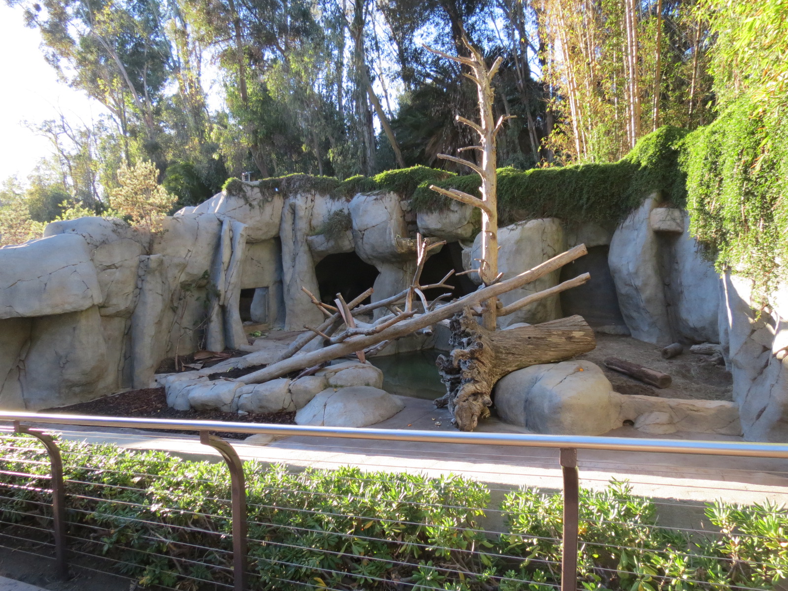 Asian Passage - Grizzly Bear Exhibit 2