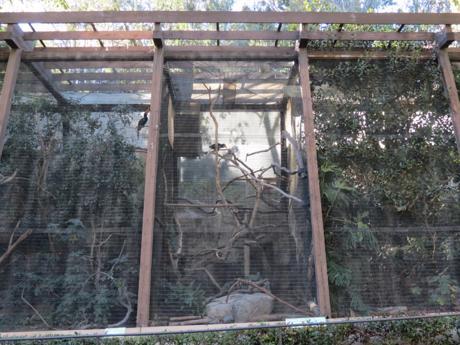 Asian Passage - Hornbill Aviaries