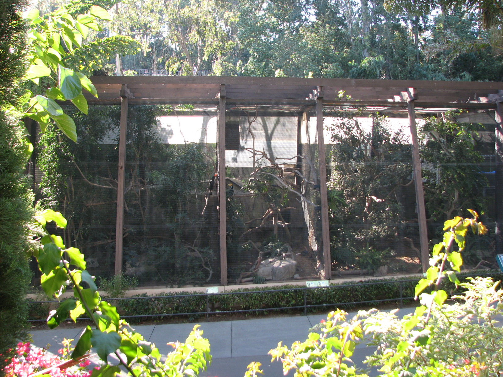 Asian Passage - Hornbill Exhibits