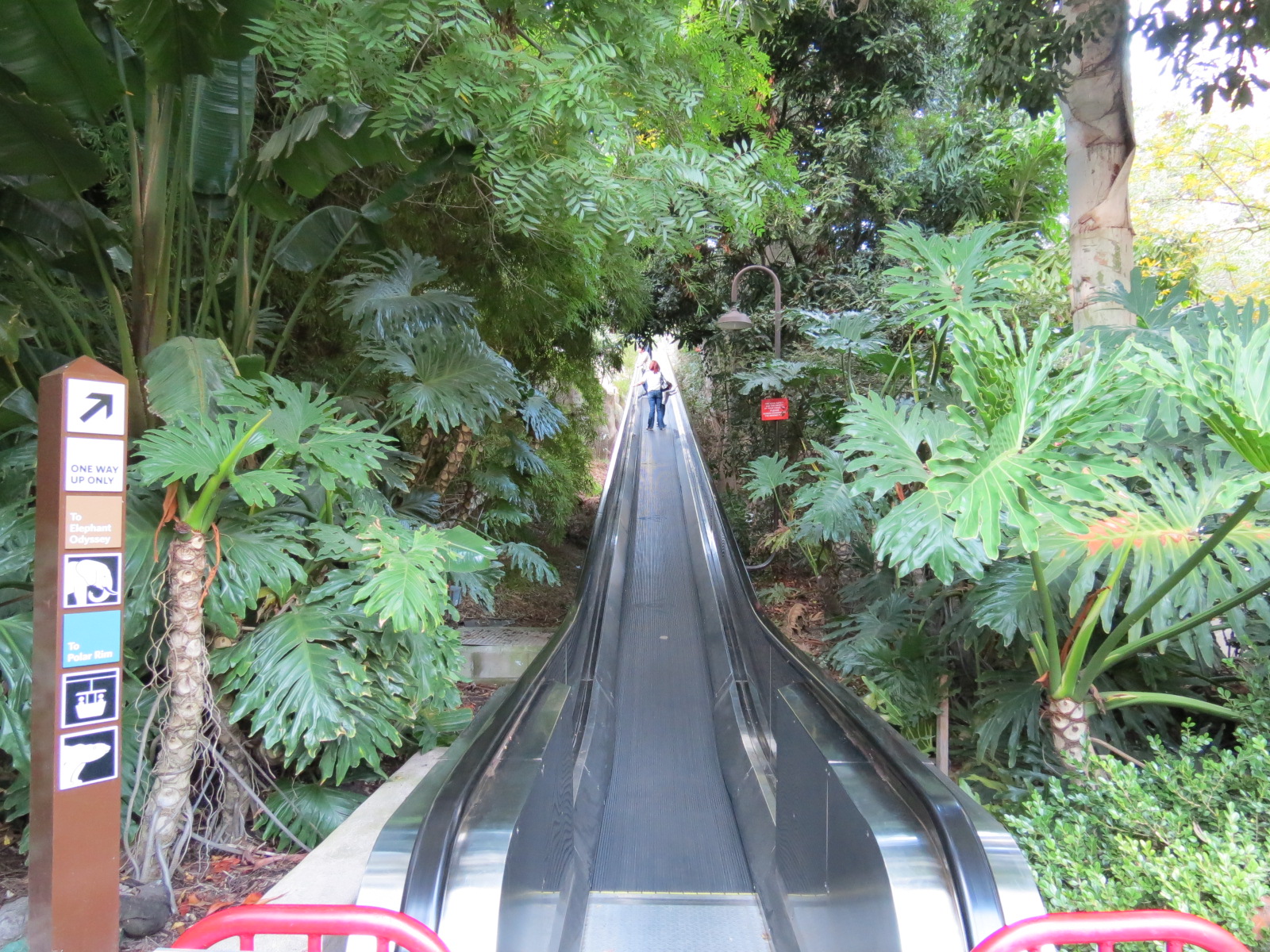 Asian Passage - Moving Walkway Up To Elephant Odyssey