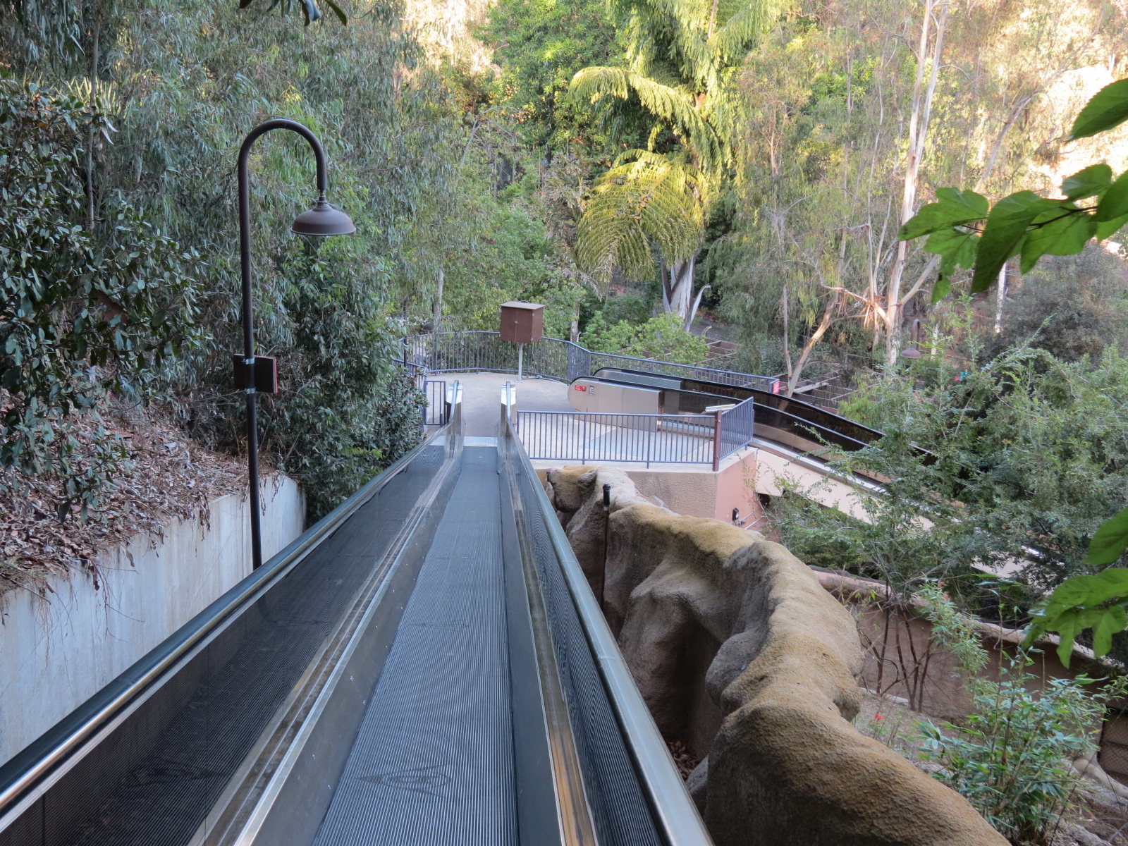 Asian Passage - Moving Walkway Up To Elephant Odyssey