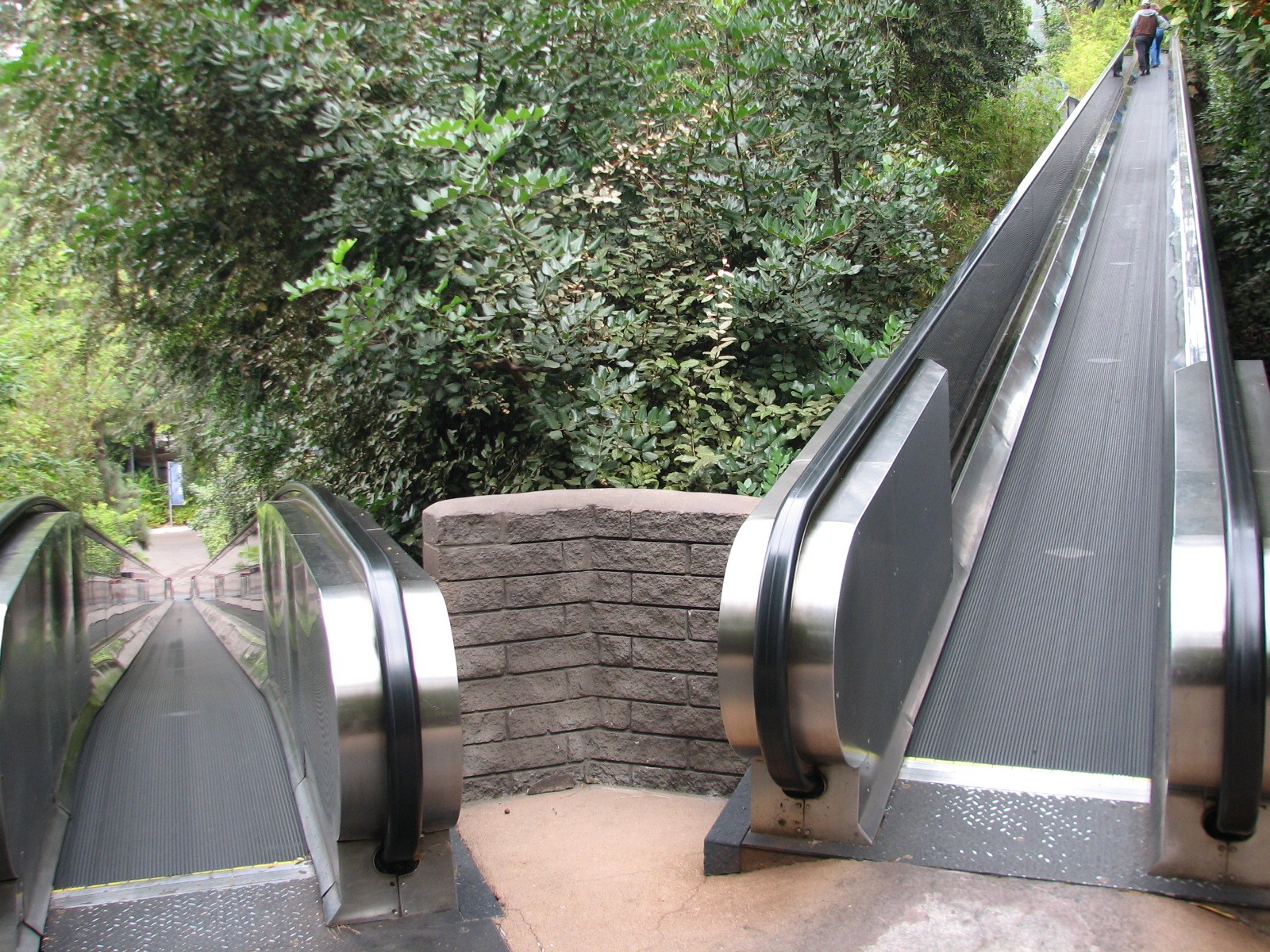 Asian Passage - Moving Walkway Up To Lost Forest