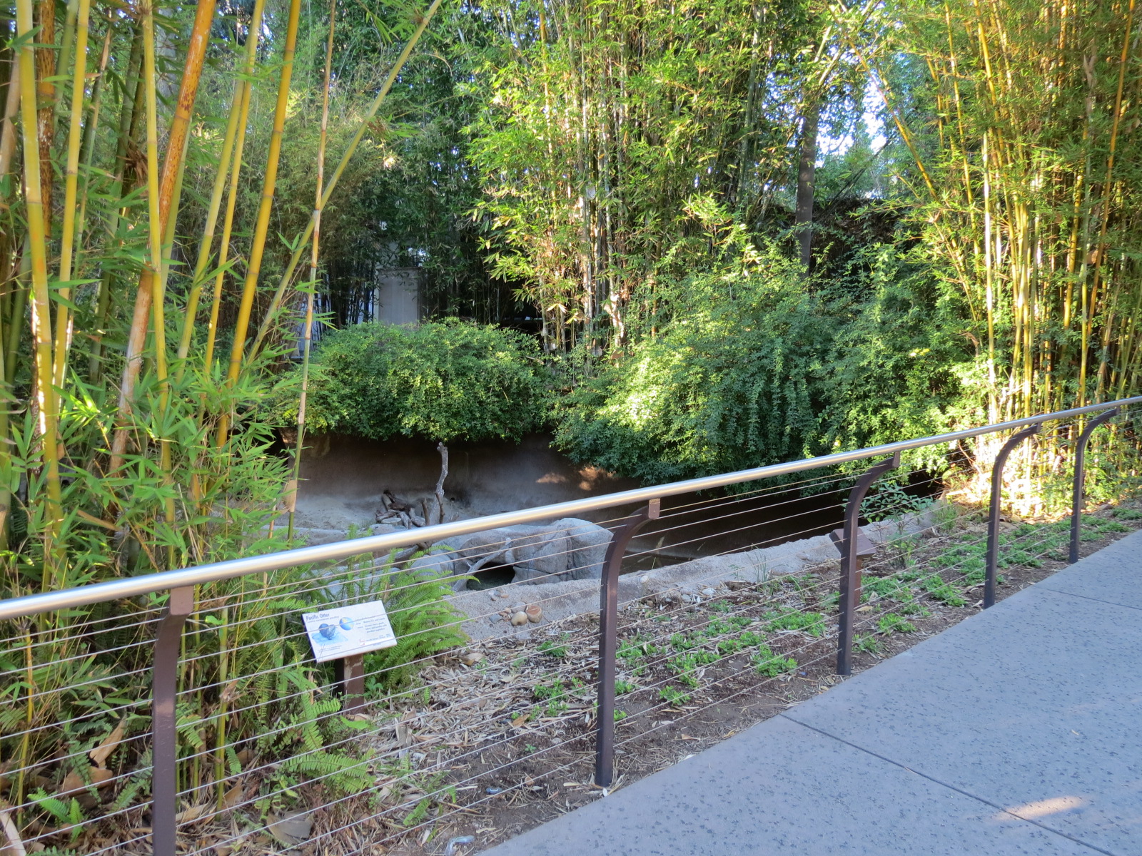 Asian Passage - Pacific Otter Exhibit