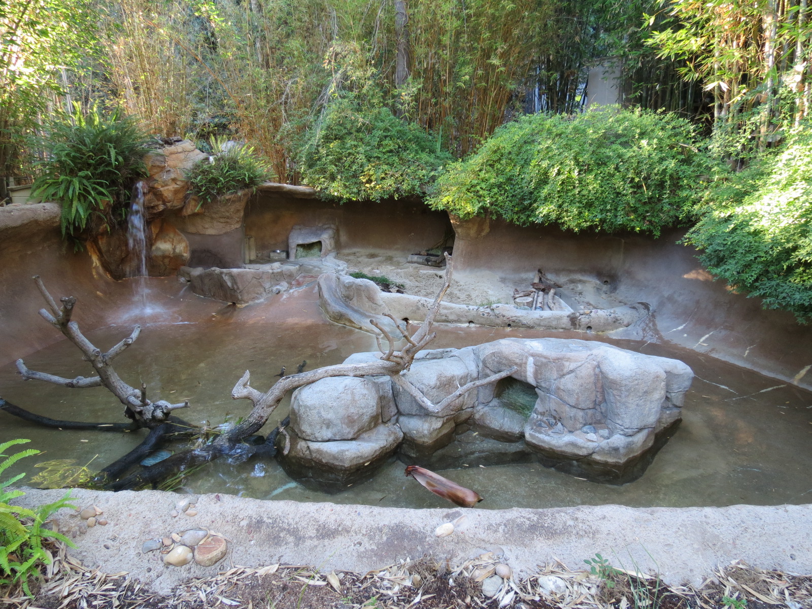 Asian Passage - Pacific Otter Exhibit