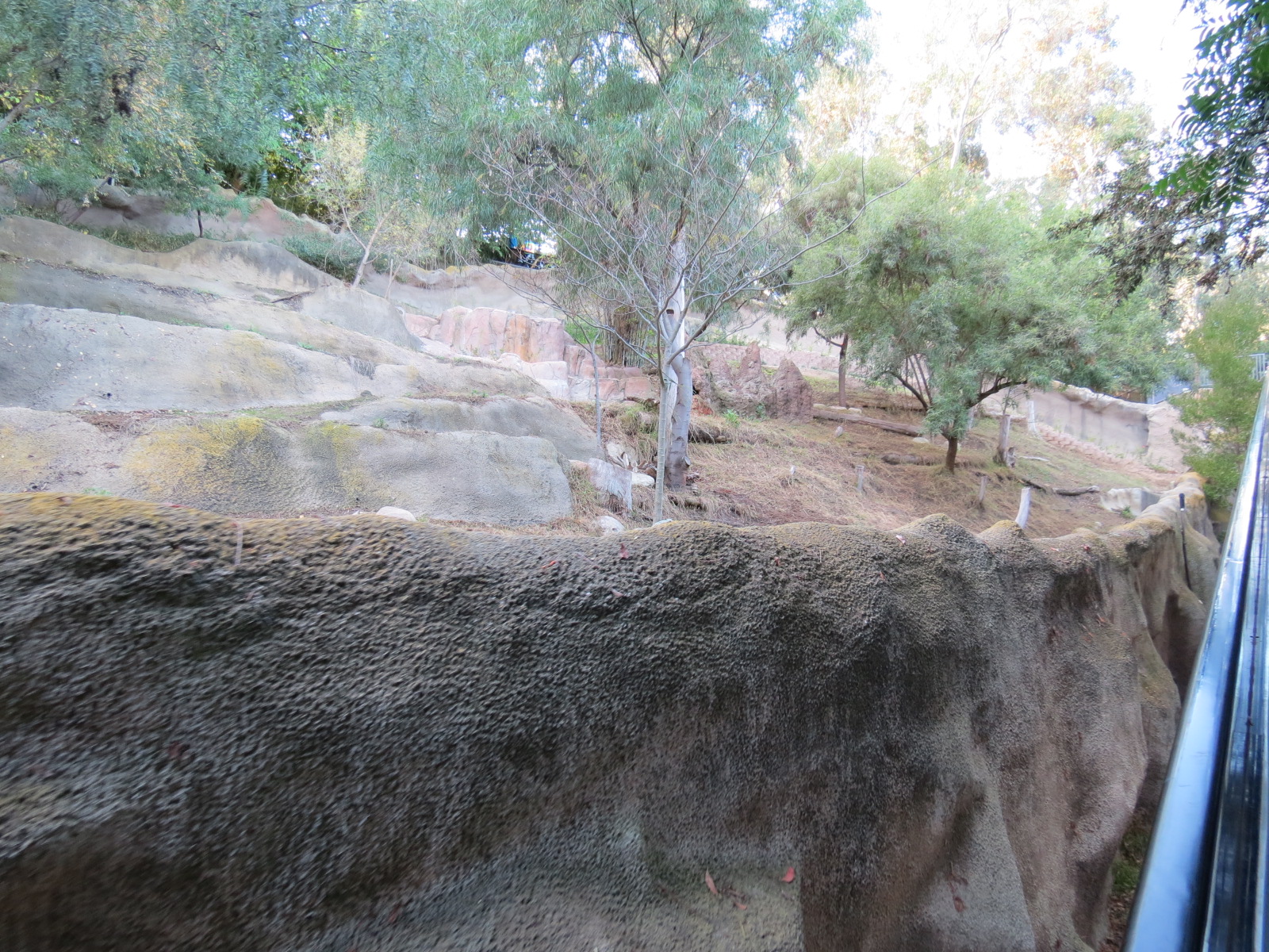 Asian Passage - Southern Gerenuk and Southern Warthog Exhibit