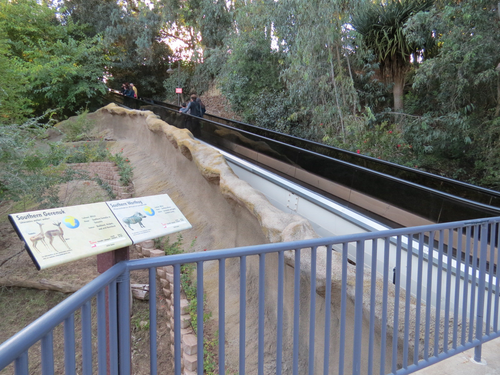 Asian Passage - Southern Gerenuk and Southern Warthog Exhibit