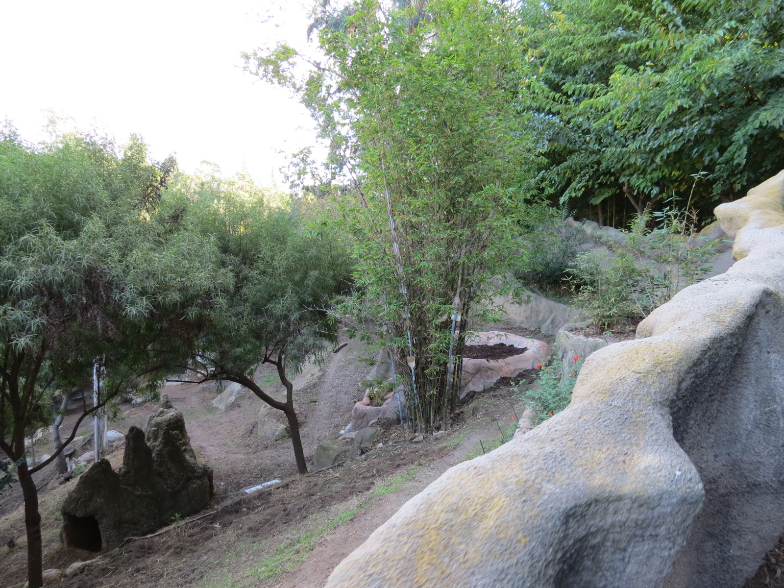 Asian Passage - Southern Gerenuk and Southern Warthog Exhibit