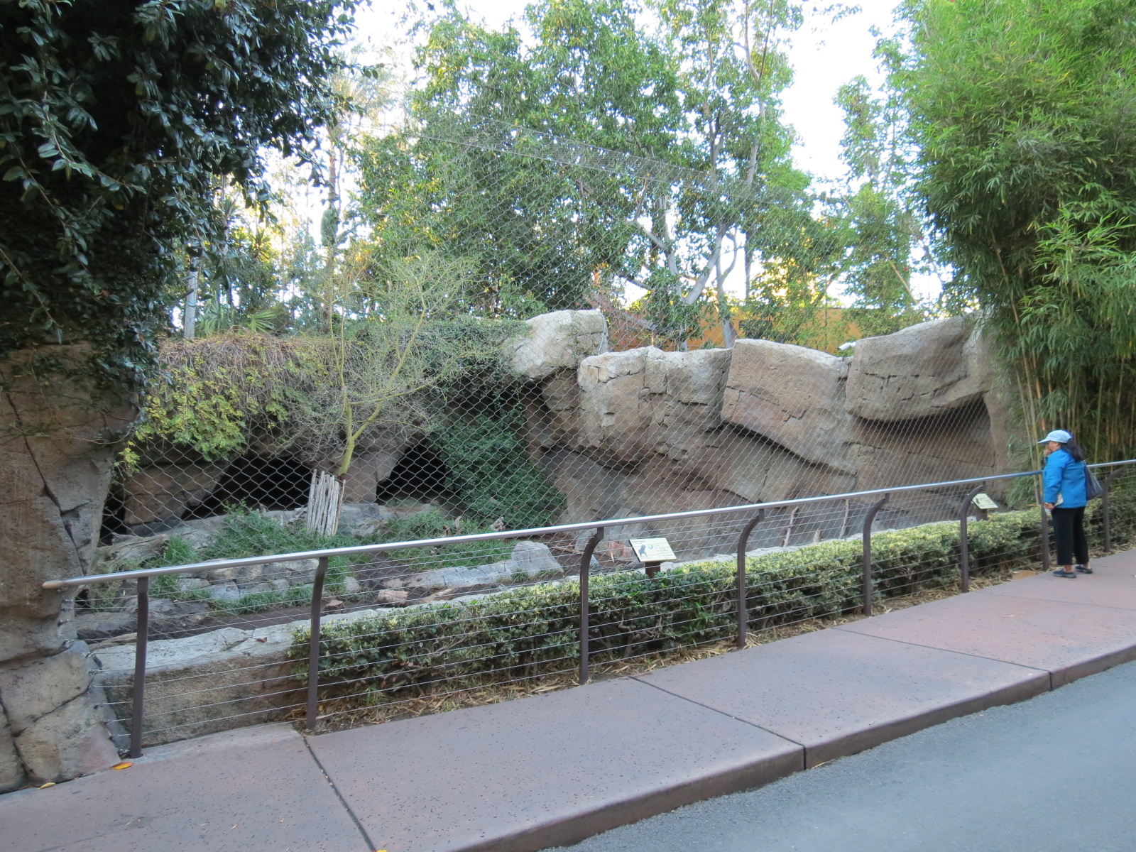 Asian Passage - Spotted Hyena Exhibit