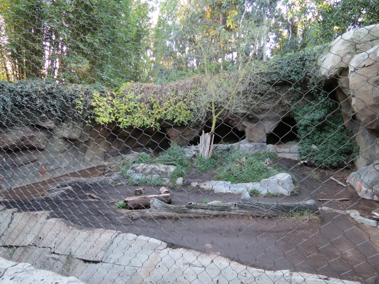 Asian Passage - Spotted Hyena Exhibit