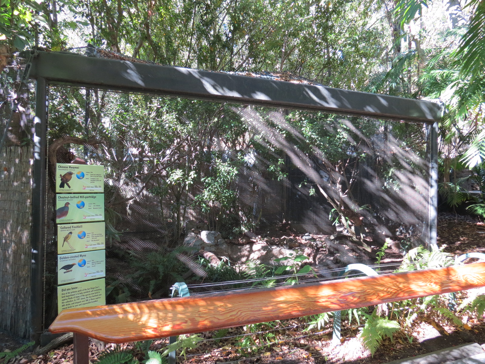 Asian Passage - Sun Bear Forest - Bird Exhibit