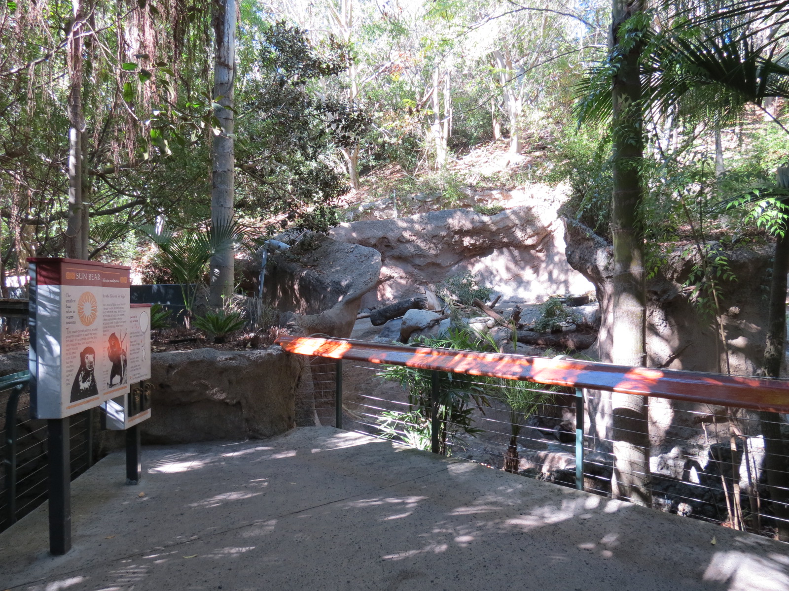 Asian Passage - Sun Bear Forest - Bornean Sun Bear Exhibit