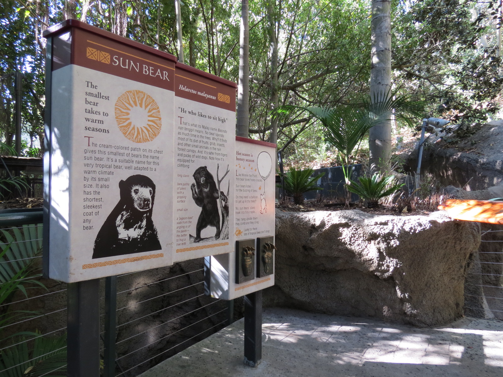 Asian Passage - Sun Bear Forest - Bornean Sun Bear Exhibit