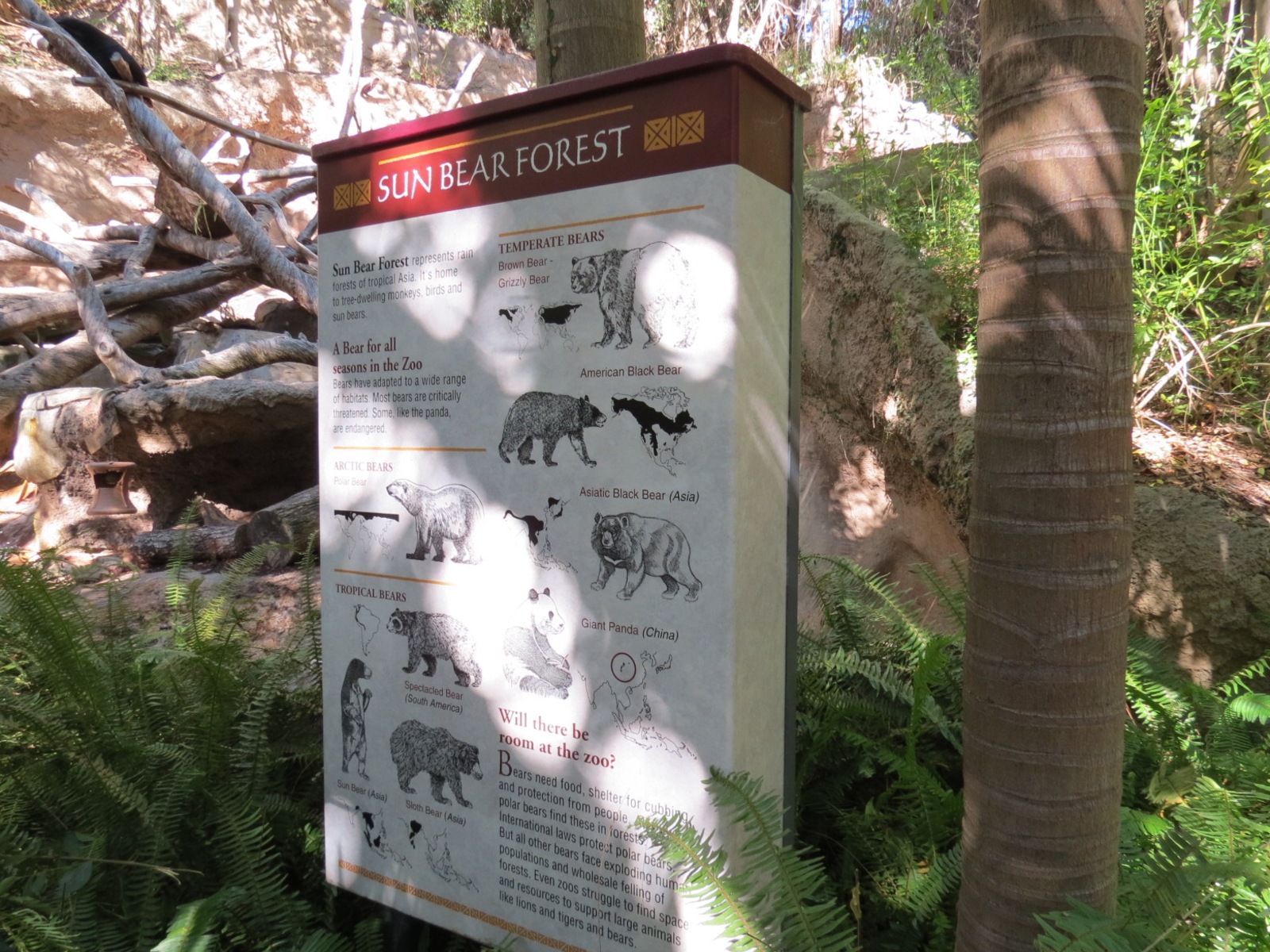 Asian Passage - Sun Bear Forest - Bornean Sun Bear Exhibit