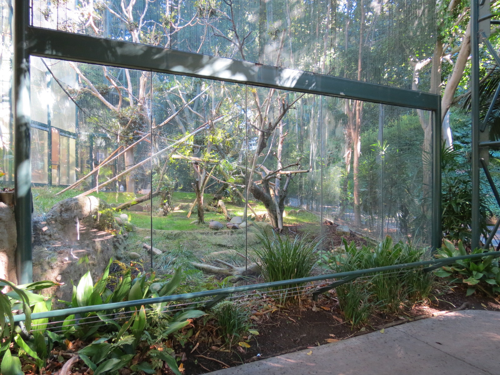 Asian Passage - Sun Bear Forest - Francois Langur Exhibit