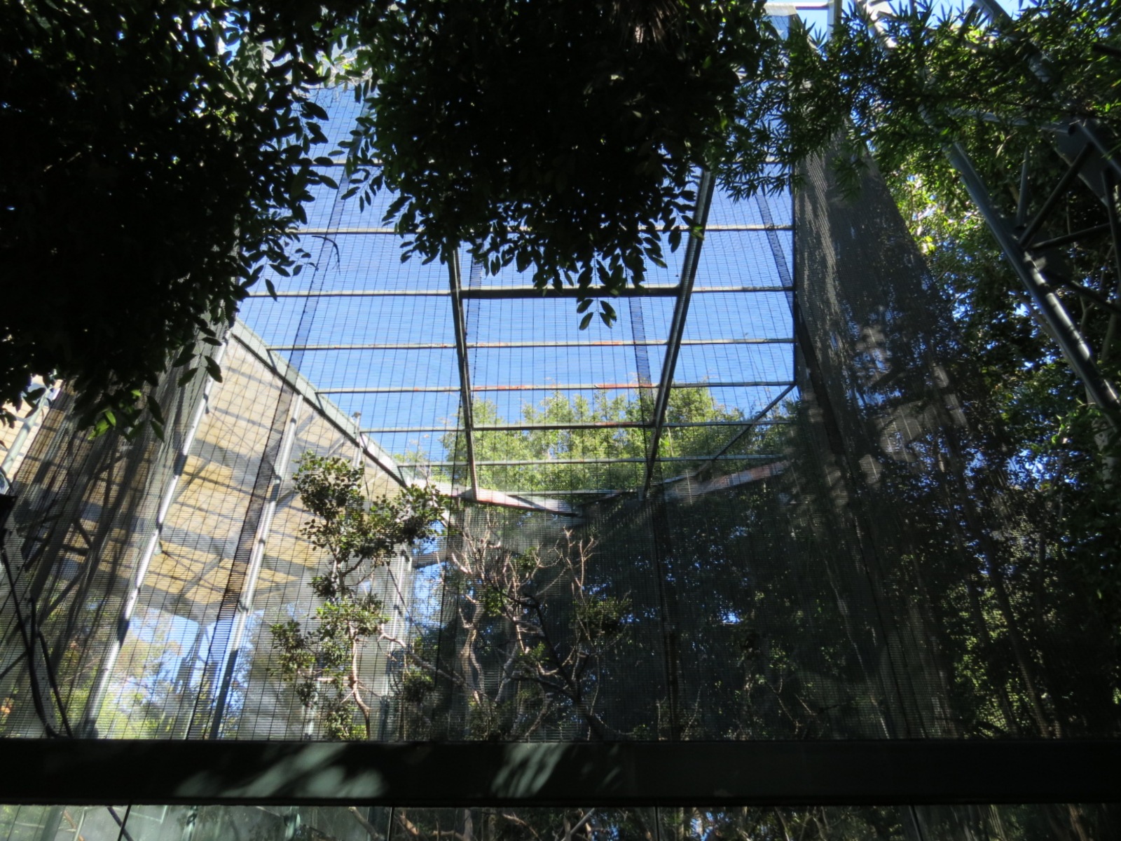 Asian Passage - Sun Bear Forest - Francois Langur Exhibit