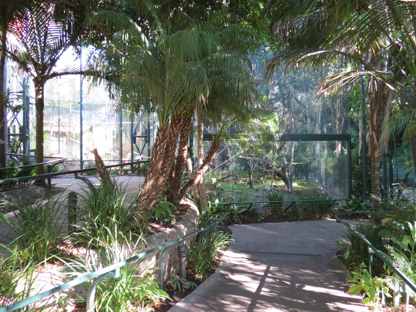 Asian Passage - Sun Bear Forest - Francois Langur Exhibit