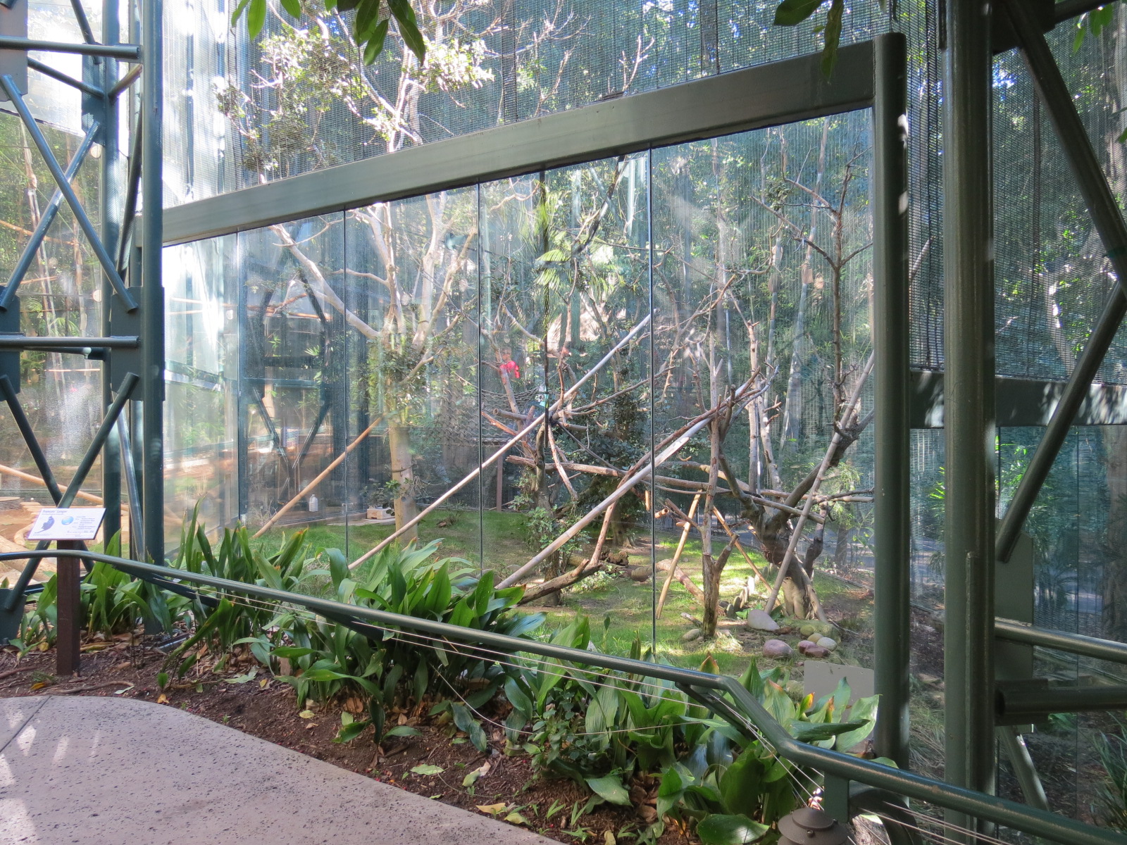 Asian Passage - Sun Bear Forest - Francois Langur Exhibit