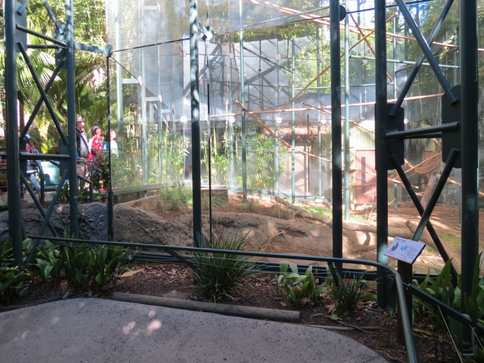 Asian Passage - Sun Bear Forest - Francois Langur Exhibit