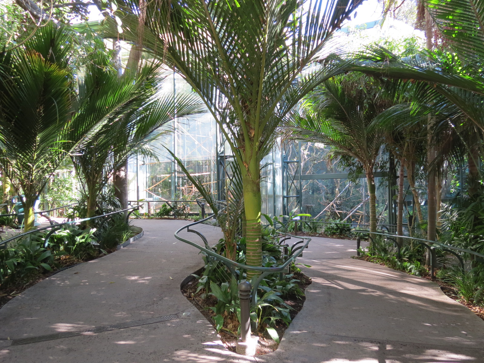 Asian Passage - Sun Bear Forest - Francois Langur Exhibit