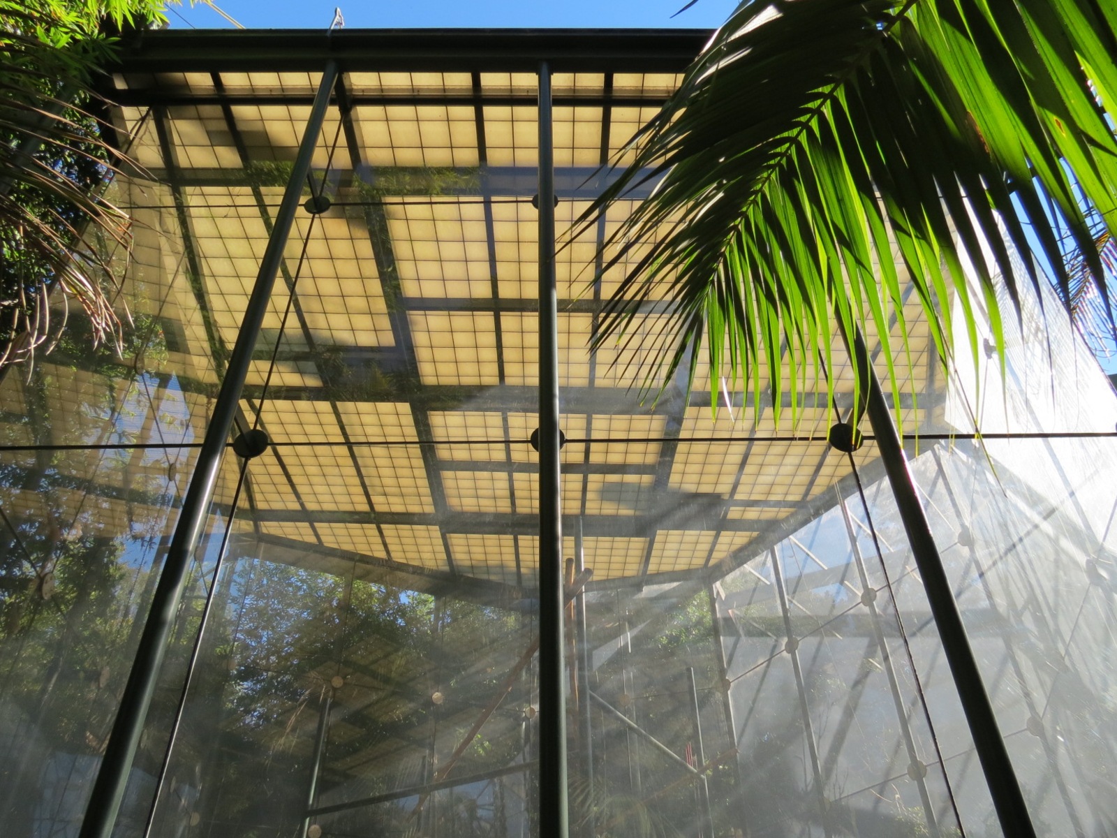 Asian Passage - Sun Bear Forest - Francois Langur Exhibit