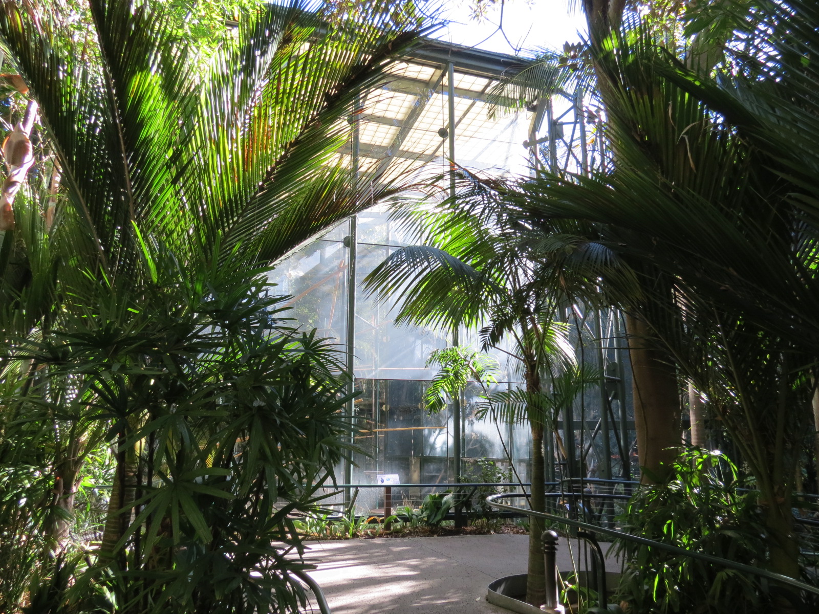 Asian Passage - Sun Bear Forest - Francois Langur Exhibit