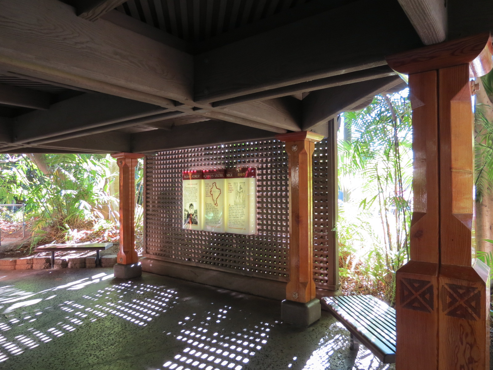 Asian Passage - Sun Bear Forest - Lion-tailed Macaque Exhibit