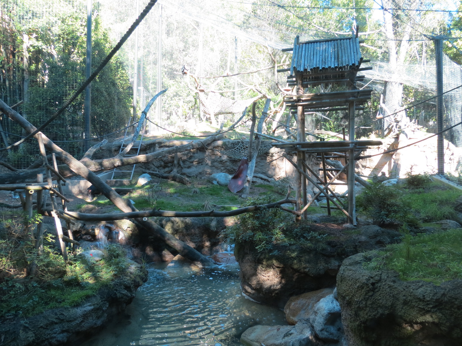 Asian Passage - Sun Bear Forest - Lion-tailed Macaque Exhibit