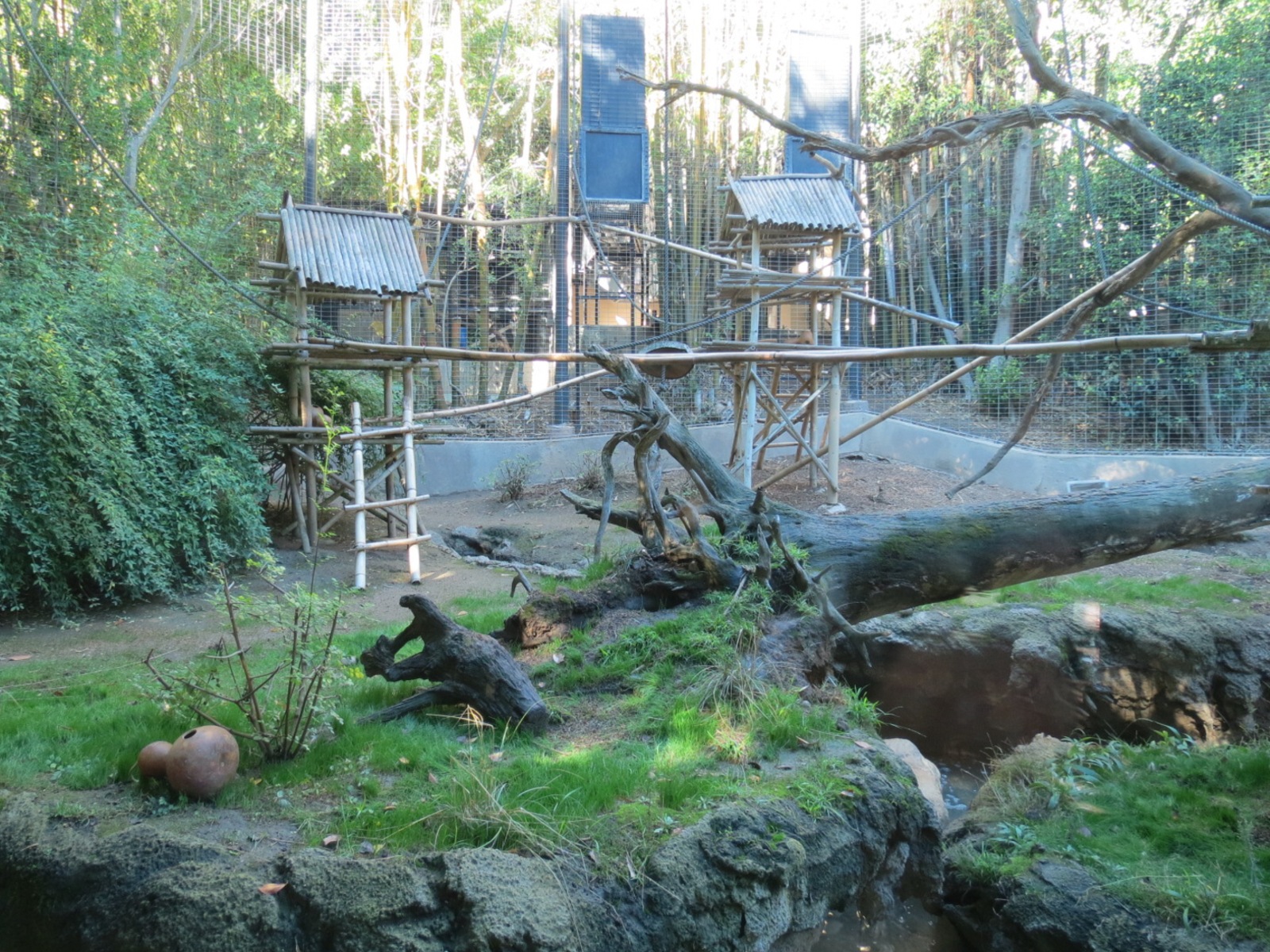 Asian Passage - Sun Bear Forest - Lion-tailed Macaque Exhibit