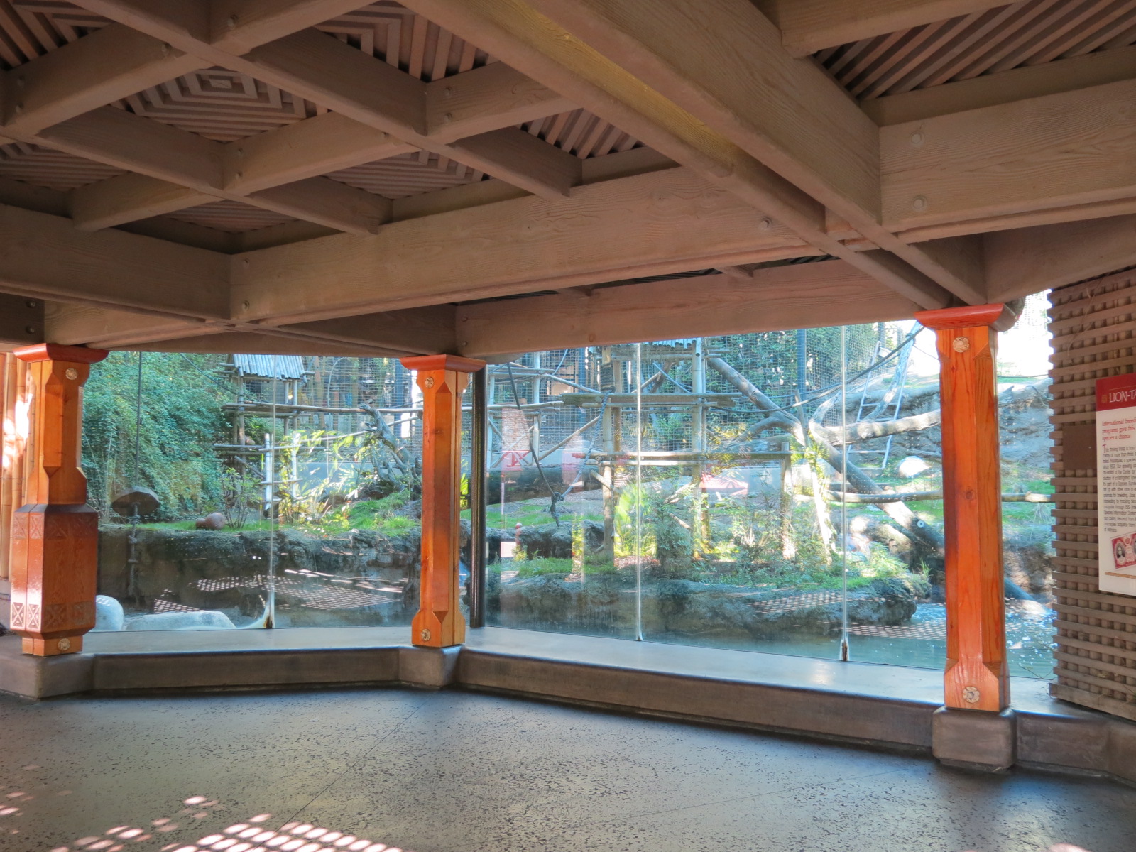 Asian Passage - Sun Bear Forest - Lion-tailed Macaque Exhibit