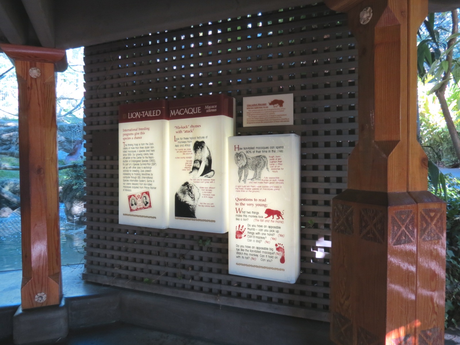 Asian Passage - Sun Bear Forest - Lion-tailed Macaque Exhibit