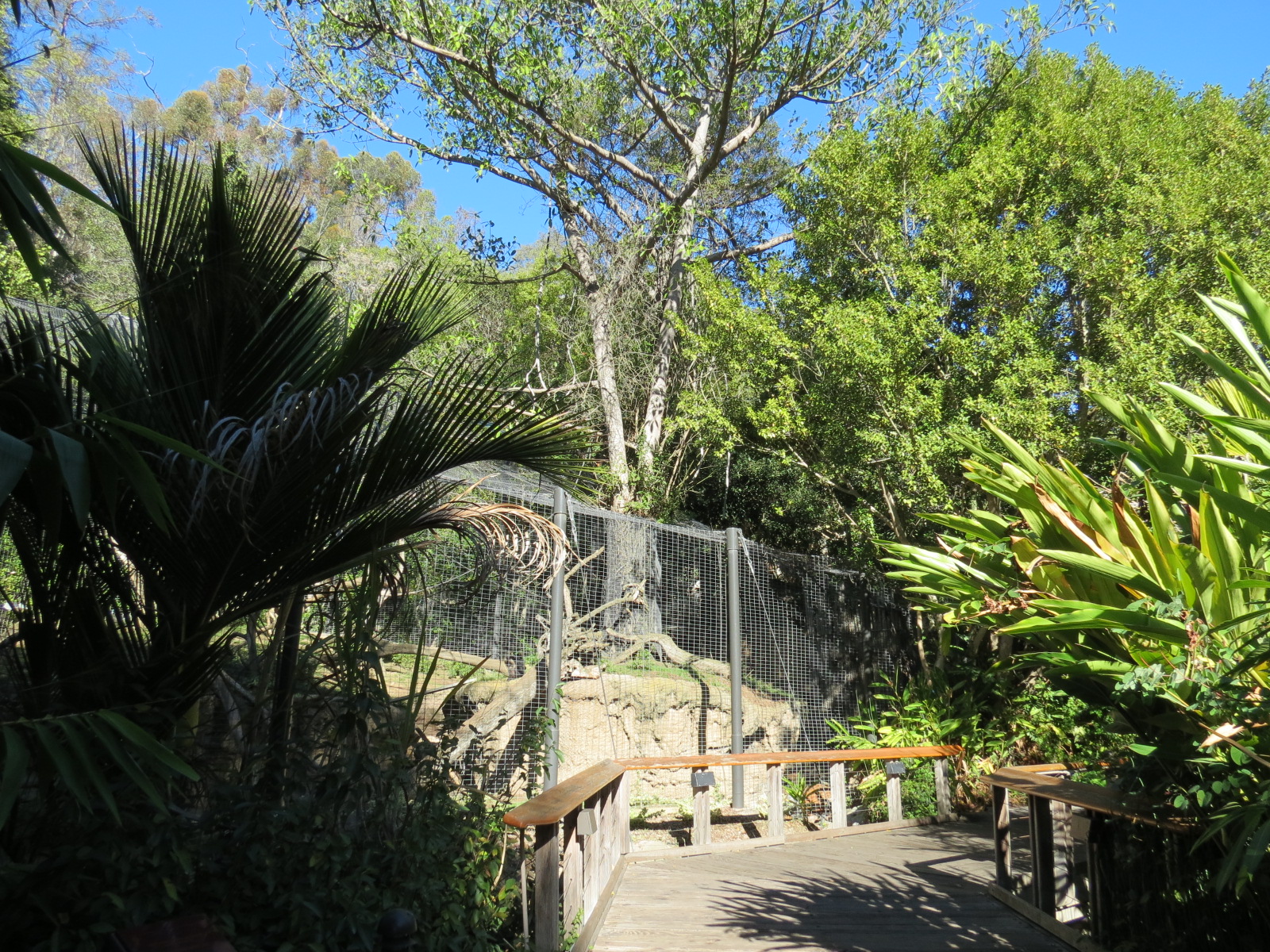 Asian Passage - Sun Bear Forest - Lion-tailed Macaque Exhibit