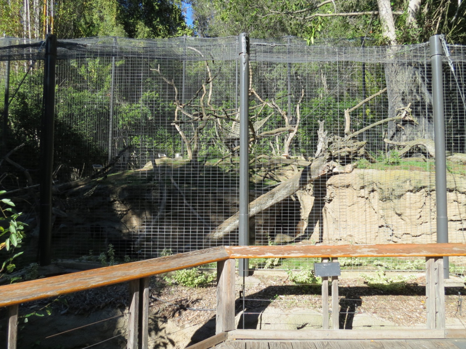 Asian Passage - Sun Bear Forest - Lion-tailed Macaque Exhibit