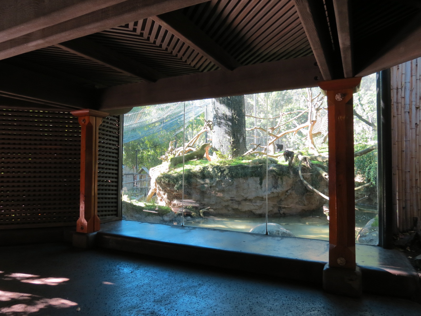 Asian Passage - Sun Bear Forest - Lion-tailed Macaque Exhibit