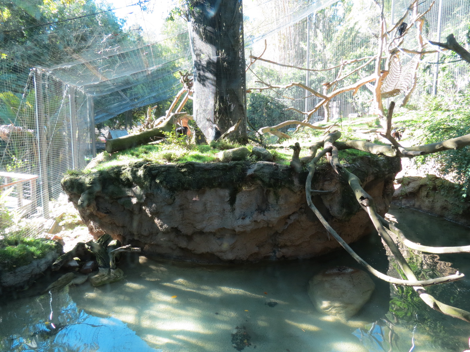 Asian Passage - Sun Bear Forest - Lion-tailed Macaque Exhibit