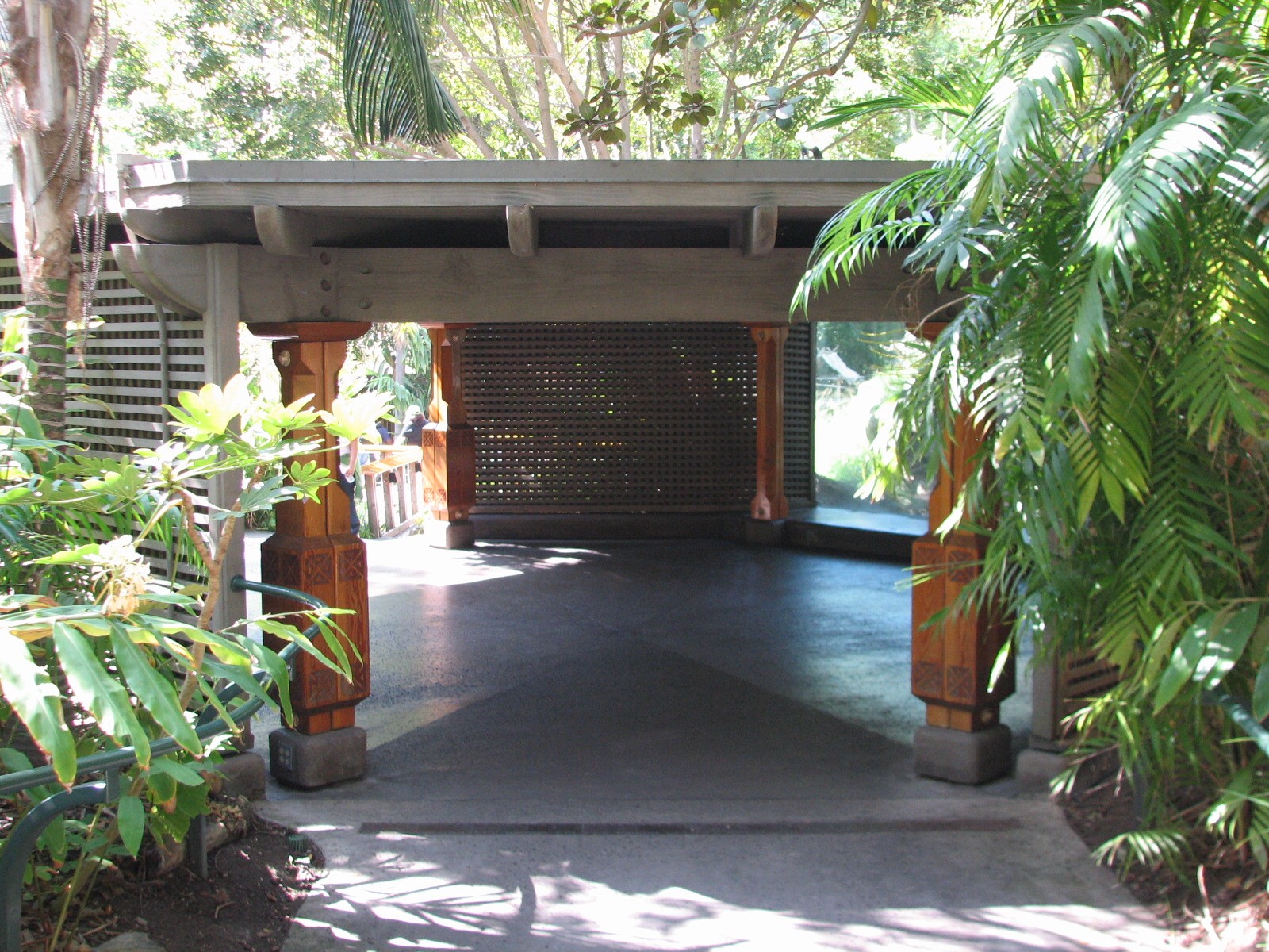 Asian Passage - Sun Bear Forest - Lion-tailed Macaque Exhibit