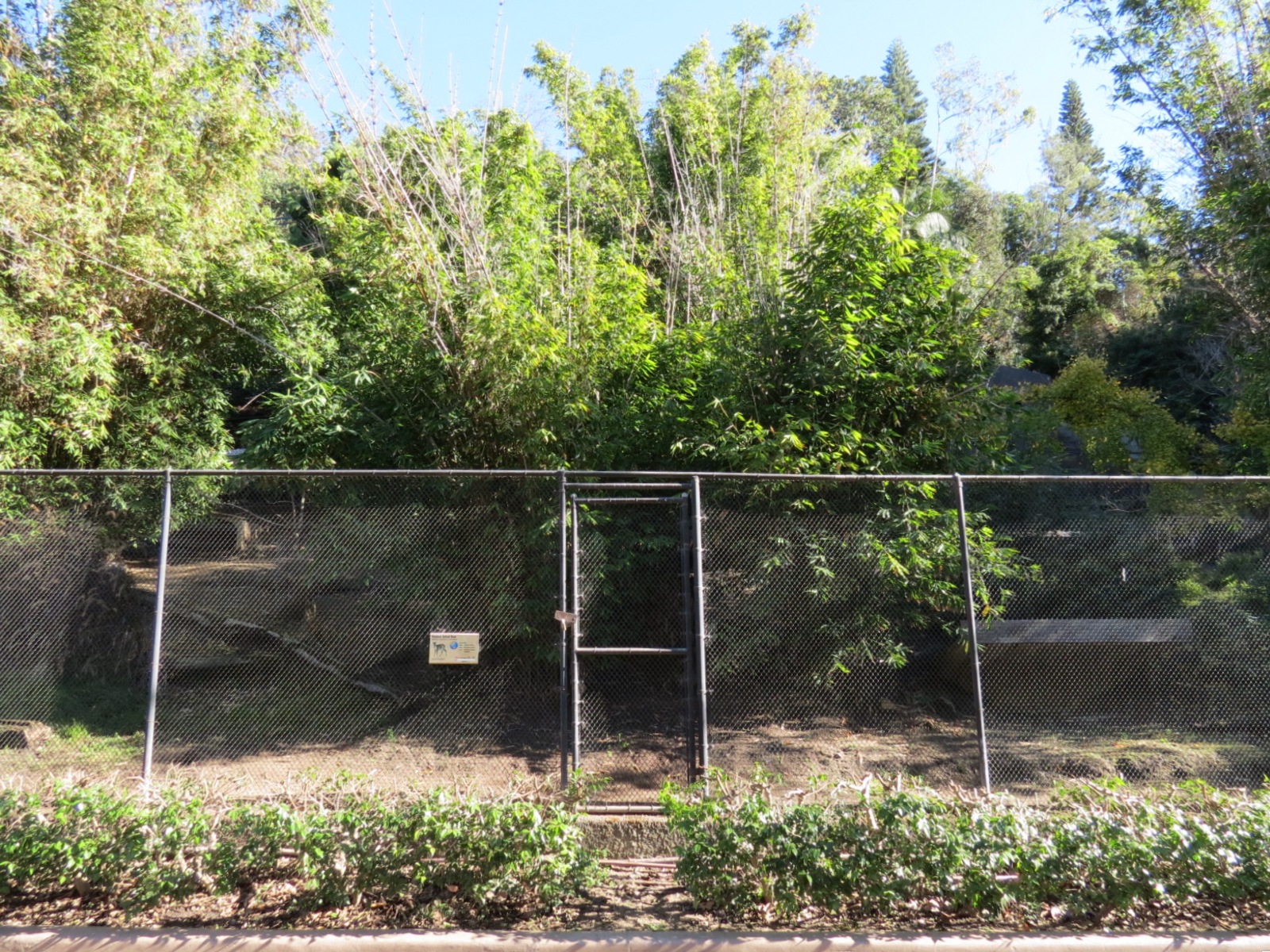 Asian Passage - Western Tufted Deer Exhibit