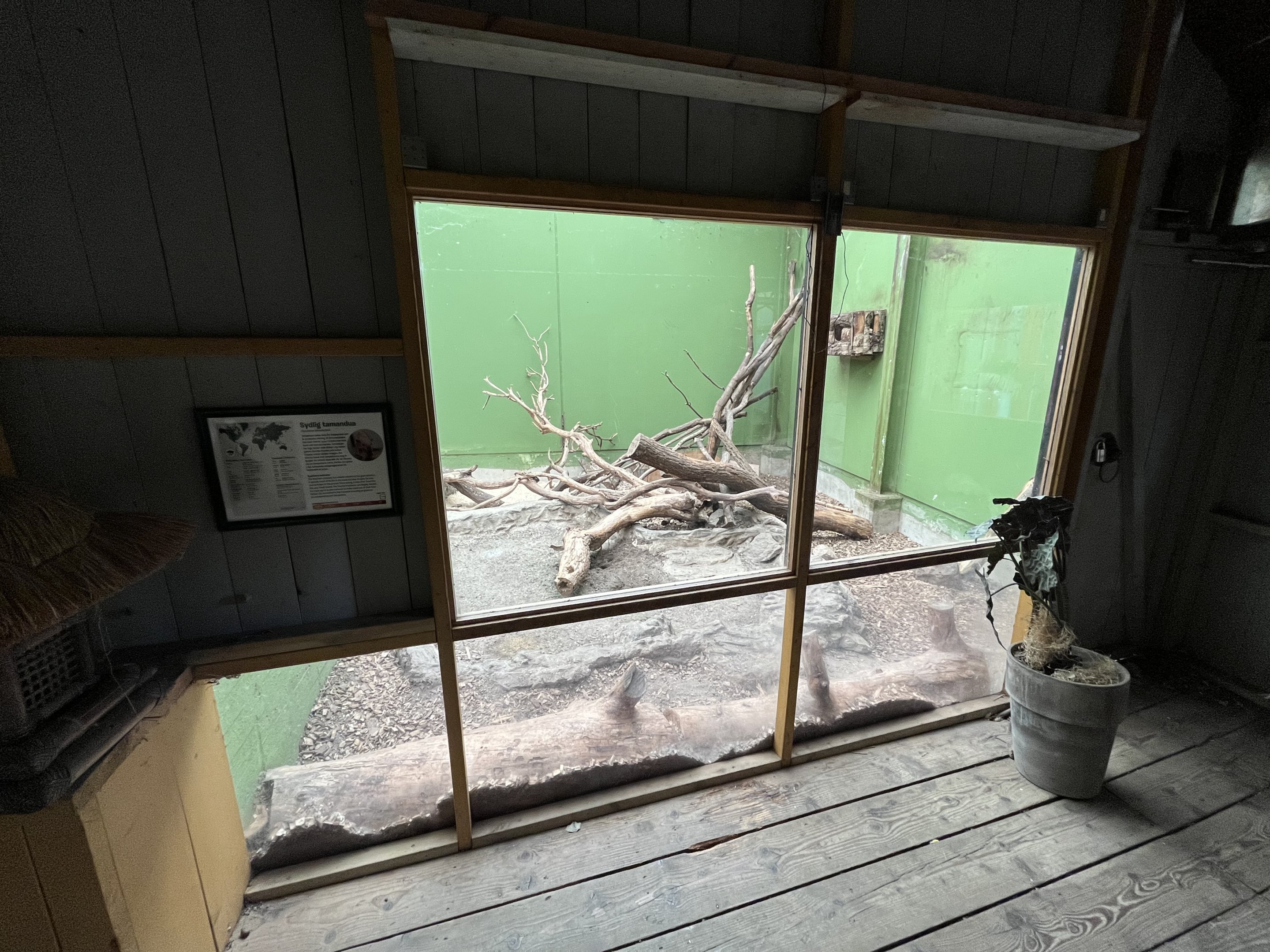 Asian Pavilion - Tamandua Indoor Exhibit