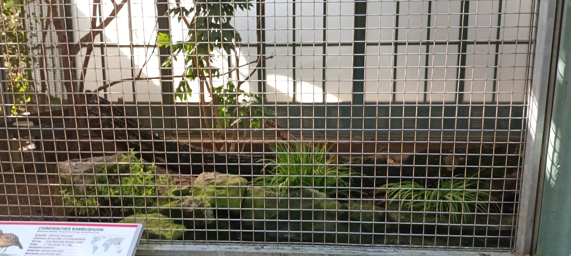 Asian Pheasantary Aviary