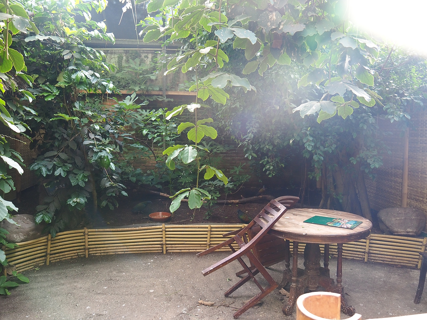 Asian/Philippines section of the tropical hall - Themed village area, 2022-08-28