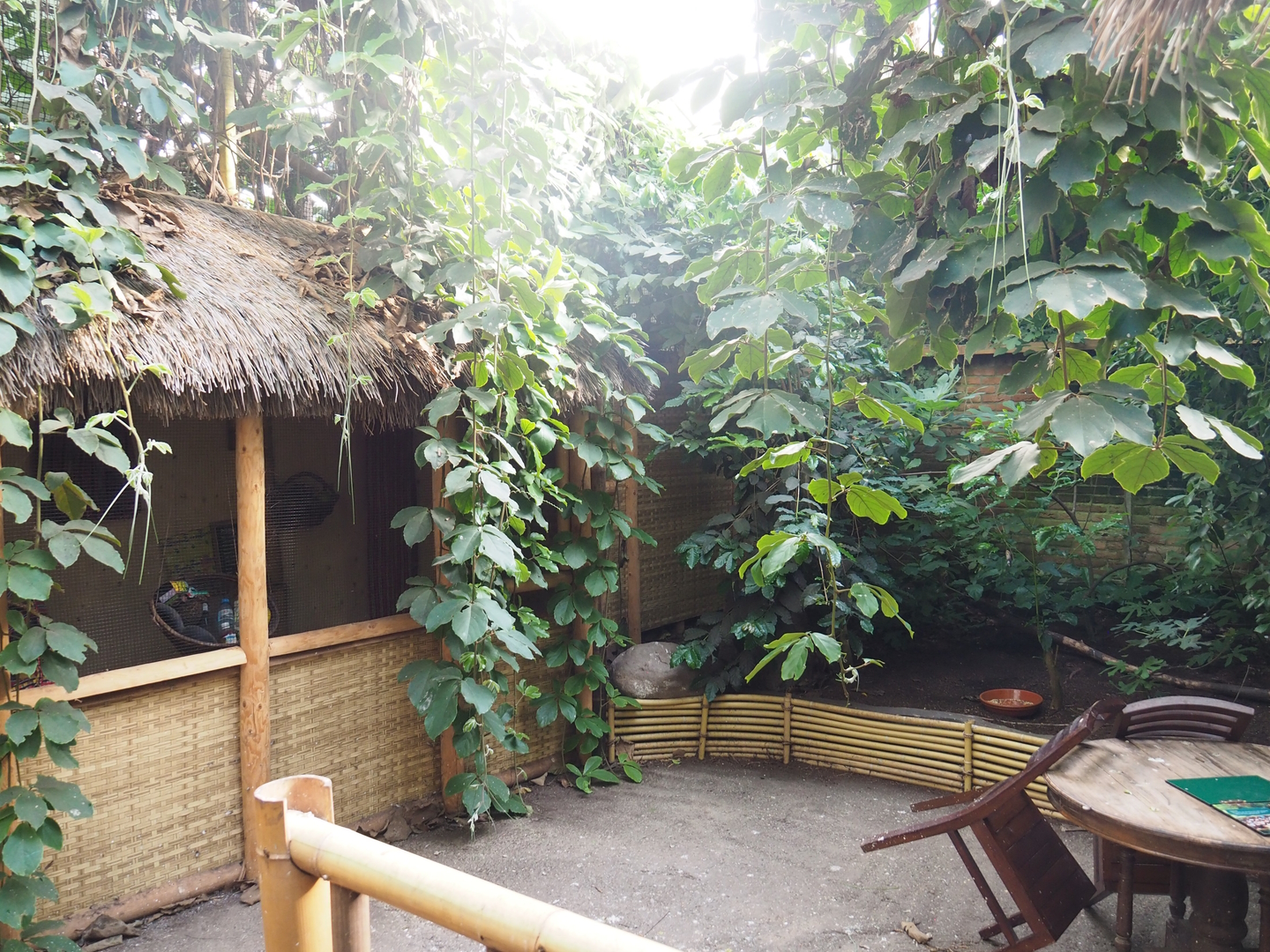 Asian/Philippines section of the tropical hall - Themed village area, 2022-08-28