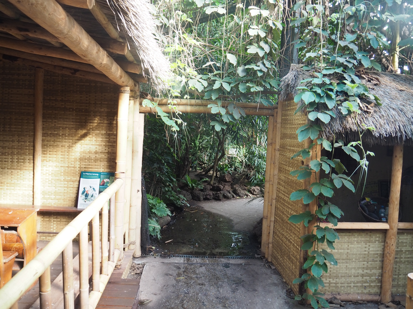 Asian/Philippines section of the tropical hall - Themed village area, 2022-08-28