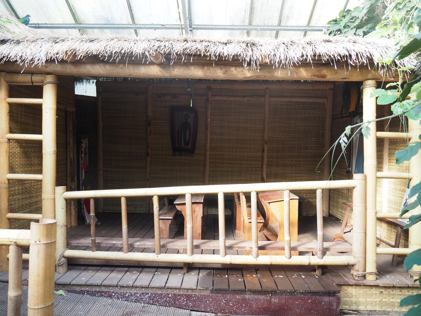 Asian/Philippines section of the tropical hall - Themed village area, 2022-08-28