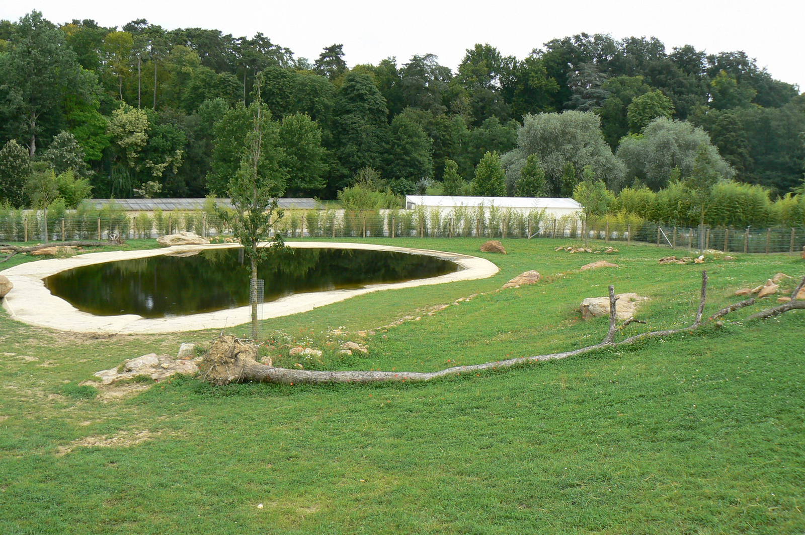 Asian plain exhibit - First indian rhinos exhibit