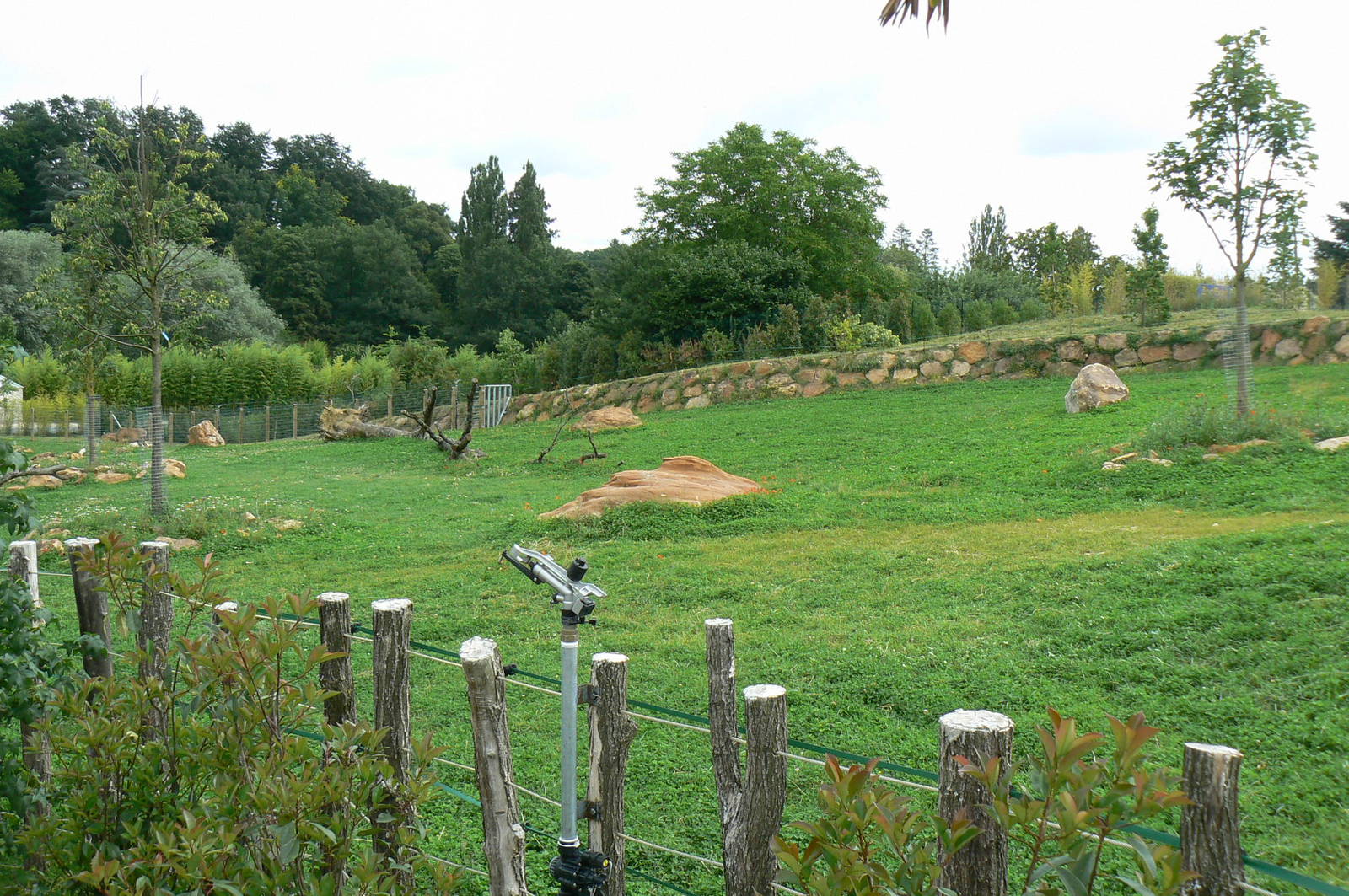 Asian plain exhibit - First indian rhinos exhibit