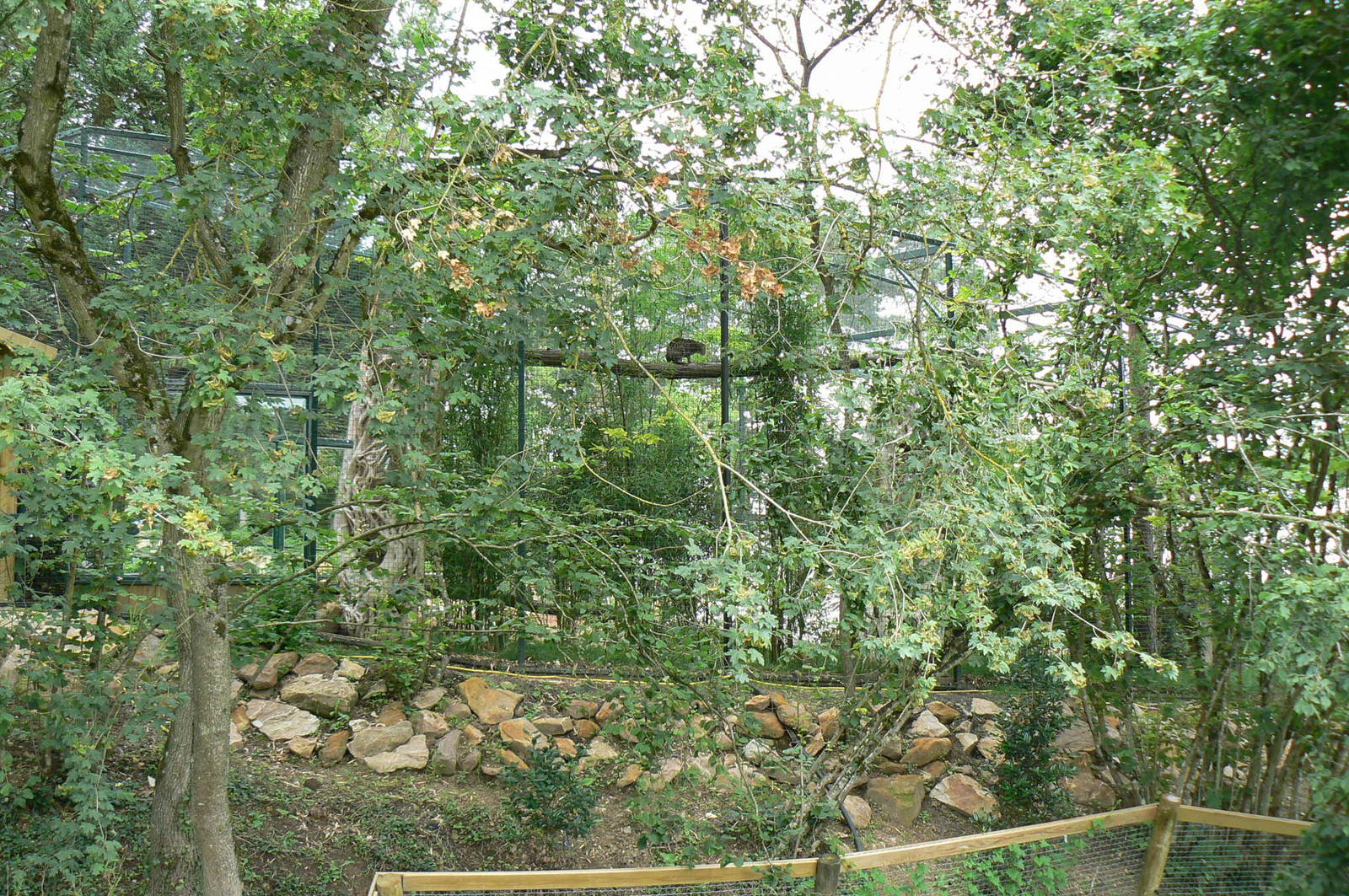 Asian plain exhibit - Fishing cats exhibit