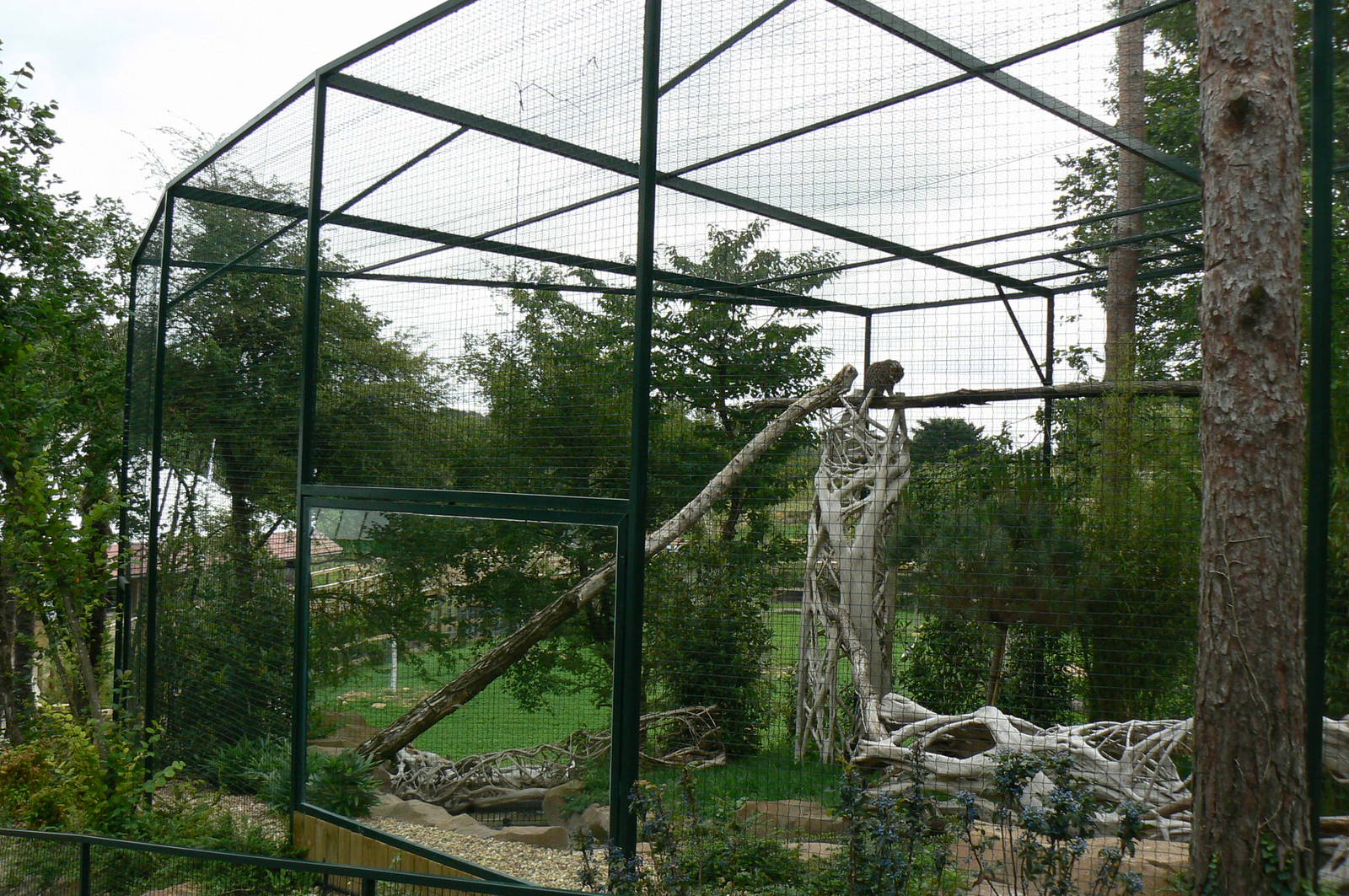 Asian plain exhibit - Fishing cats exhibit