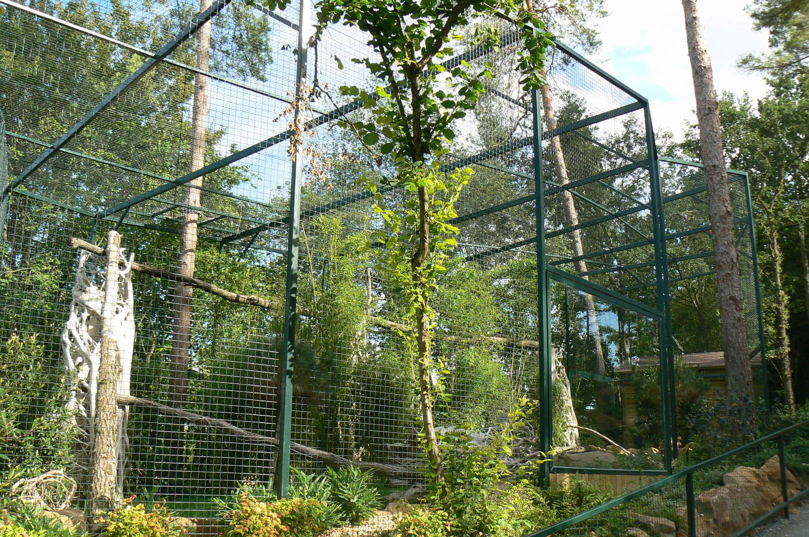 Asian plain exhibit - Fishing cats exhibit