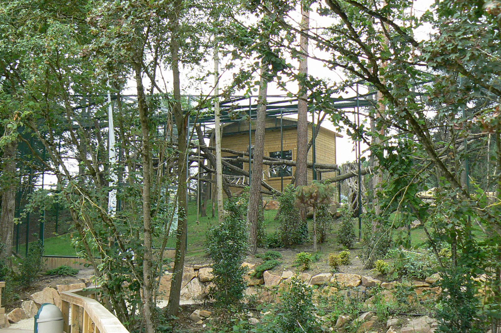 Asian plain exhibit - Grey langurs exhibit